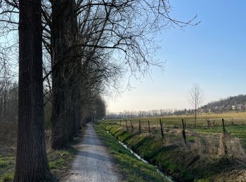 Tour Wandern Löwen - Kessel -Lo - Photo