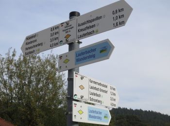 Tocht Te voet Lauterbach - Lauterbacher Wandersteig - Photo