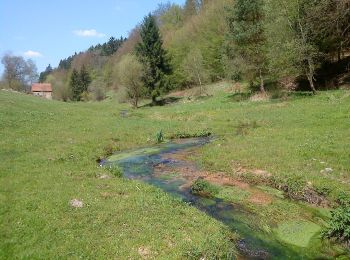 Tocht Te voet Flörsbachtal - Ortswanderweg Flörsbachtal 2 - Photo