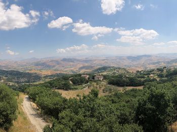 Tocht Te voet Cammarata - Cammarata - Monte Gemini - Photo