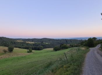 Tour Wandern Auzon - 1 - Photo