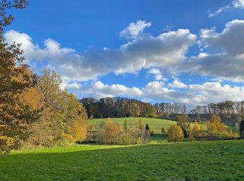 Randonnée A pied Wipperfürth - Rund um Wipperfürth W - Photo