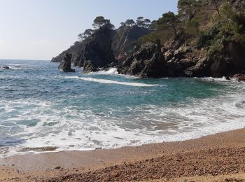 Tocht Stappen Palafrugell - Cami de R  vers cala el Golfet - Photo