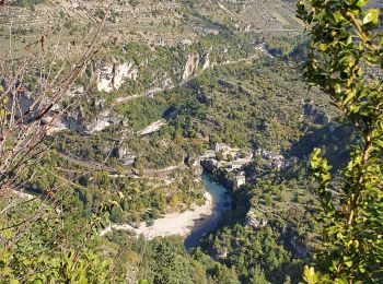 Tour Wandern Mas-Saint-Chély - m'as st chely reconnaissance  - Photo