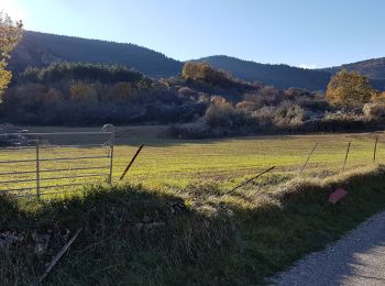 Tocht Noords wandelen Lauroux - Lauroux Nov 2021 - Photo