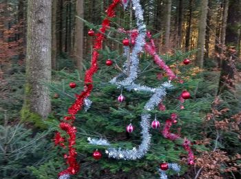 Tocht Stappen Arches - arches lutin2 - Photo