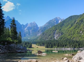 Trail On foot Tarvisio - IT-512 - Photo