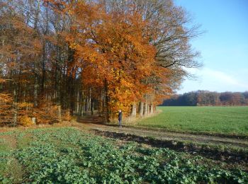 Percorso A piedi Wincrange - Wikiloc Urspelt Maulusmuhle - Photo