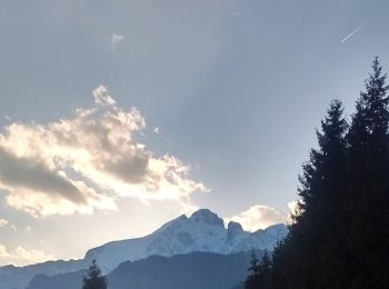 Tour Zu Fuß Azzone - Trekking tra malghe e menhir anello 3: Salven - Costone - San Fermo - Photo