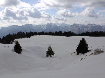 Randonnée A pied Pertica Alta - Odeno - Passo Pezzeda - Photo