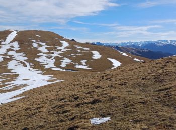 Tour Wandern Mayrègne - mail de la pène de Rustier en boucle depuis Mayrègne  - Photo