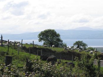 Percorso A piedi  - Causeway Coast and Glens - 14 - Binevenagh - Photo