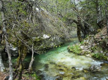 Tour Zu Fuß Opi - Acqua Sfranatara - Fonte San Cataldo - Photo