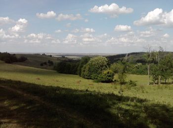 Trail On foot Komló - S+ Jánosipuszta-Hidas - Photo