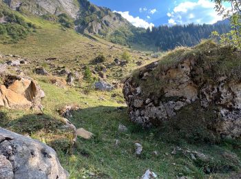 Tour Wandern Morzine - MORZINE, les terres maudites - MORZINE  - Photo