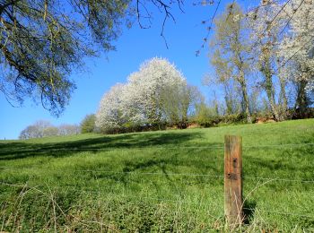 Randonnée Marche Chaumont-Gistoux - #210427 - Longueville, Hèze et Petit Hacquedeau***** - Photo