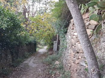 Tocht Noords wandelen Lodève - Lodève Rocher de la Vierge - Photo