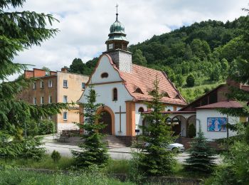 Percorso A piedi Włodowice - Droga chlebowa - Photo