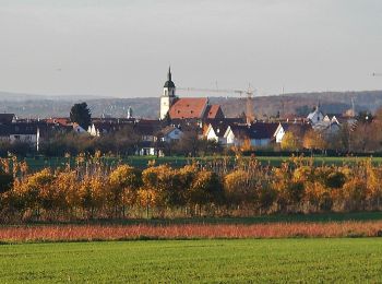 Tocht Te voet Weilheim an der Teck - Weilheim Rundweg 42 - Photo