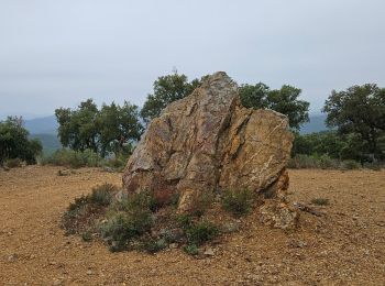 Excursión Senderismo Pierrefeu-du-Var - Circuit dans les maures - Photo