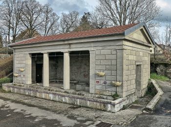 Percorso A piedi Saône - Sentier des Essarts - Photo