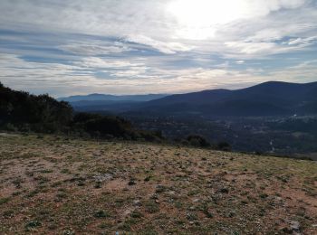 Tocht Stappen Sainte-Anastasie-sur-Issole - Chapelle Saint Quinis depuis Ste Anastasie - Photo