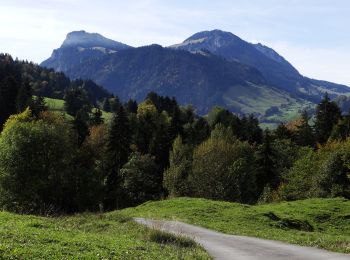 Tour Zu Fuß Wimmis - Zünigwald - Obere Stalde - Photo