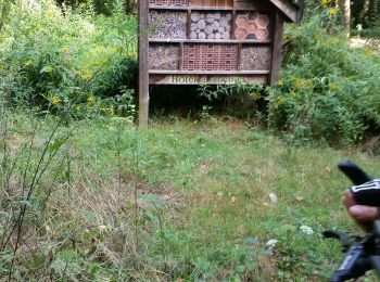 Tour Mountainbike Rambervillers - sortie vtt du 19082018 rambervillers - Photo