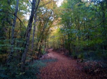 Trail Walking Marchaux-Chaudefontaine - Chaudefontaine - Photo