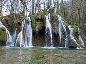 Tocht Stappen Lessard-en-Bresse - mesnay confiture - Photo