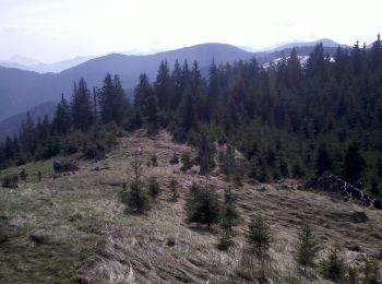 Tour Zu Fuß Reichersbeuern - Wanderweg R 7 - Bayrische Voralpen - Photo