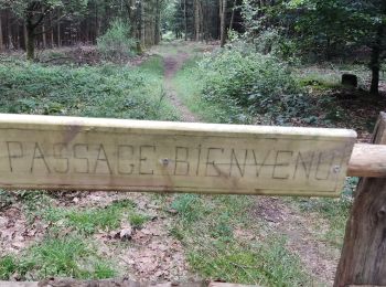 Tocht Stappen Gouvy - la ferme de la Hé Cierreux - Photo