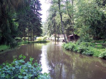 Trail On foot Blieskastel - DE-Reh - Photo