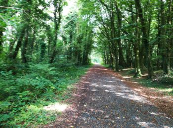 Trail Walking Conamara Municipal District - Ballykine loop  - Photo