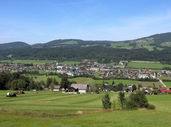 Tocht Te voet Thalgau - Barham Rundweg - Photo