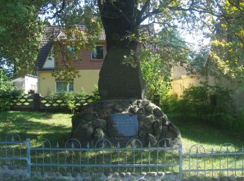 Tocht Te voet Luckaitztal - Wanderweg Kemmen-Kabel-Cabeler Berge - Photo