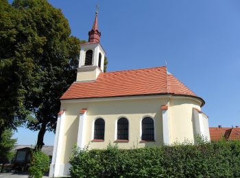 Tocht Te voet Gemeinde Enzenreith - Schwarzaweg (Wörth) - Photo