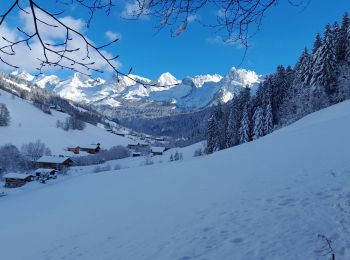 Randonnée Raquettes à neige Le Grand-Bornand - Grand Bornand- G2 - Photo