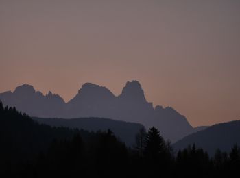 Tocht Te voet Primiero San Martino di Castrozza - Sentiero di Calaita - Photo