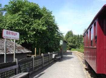 Percorso A piedi  - Bryrup Langsø og Karlsø - Photo