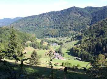 Excursión Senderismo Münstertal/Schwarzwald - Le  Belchen - Photo