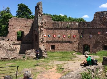 Tocht Stappen Wangenbourg-Engenthal - Wangenbourg - Photo