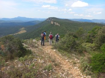 Trail Walking Rocbaron - Cuers - Photo