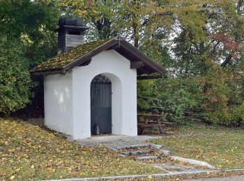 Tocht Te voet Gemeinde Hernstein - Auf dem Hart (Ergänzung zum Wanderweg 4) - Photo