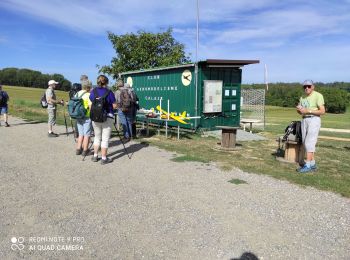 Trail Walking Sierentz - Sierentz - Photo