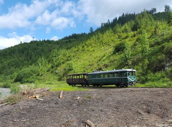 Randonnée A pied Borșa - C.F.F. Măcârlău - Refugiul Montan Lucăciasa - Băile Borșa - Photo