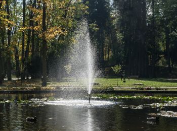 Tocht Te voet Długopole Dolne - Leśny Zdrój - Photo