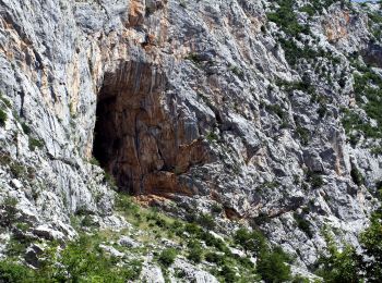 Percorso A piedi  - Jukići - Lekine njive - Photo