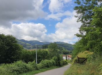 Trail Walking Saint-Jean-Pied-de-Port - Saint-Jean-Pied-de-Port Gr 65 - Photo