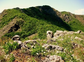 Percorso A piedi Farini - Villanova - Monte Mangiapane - Piani d'Aglio - Pradovera - Photo